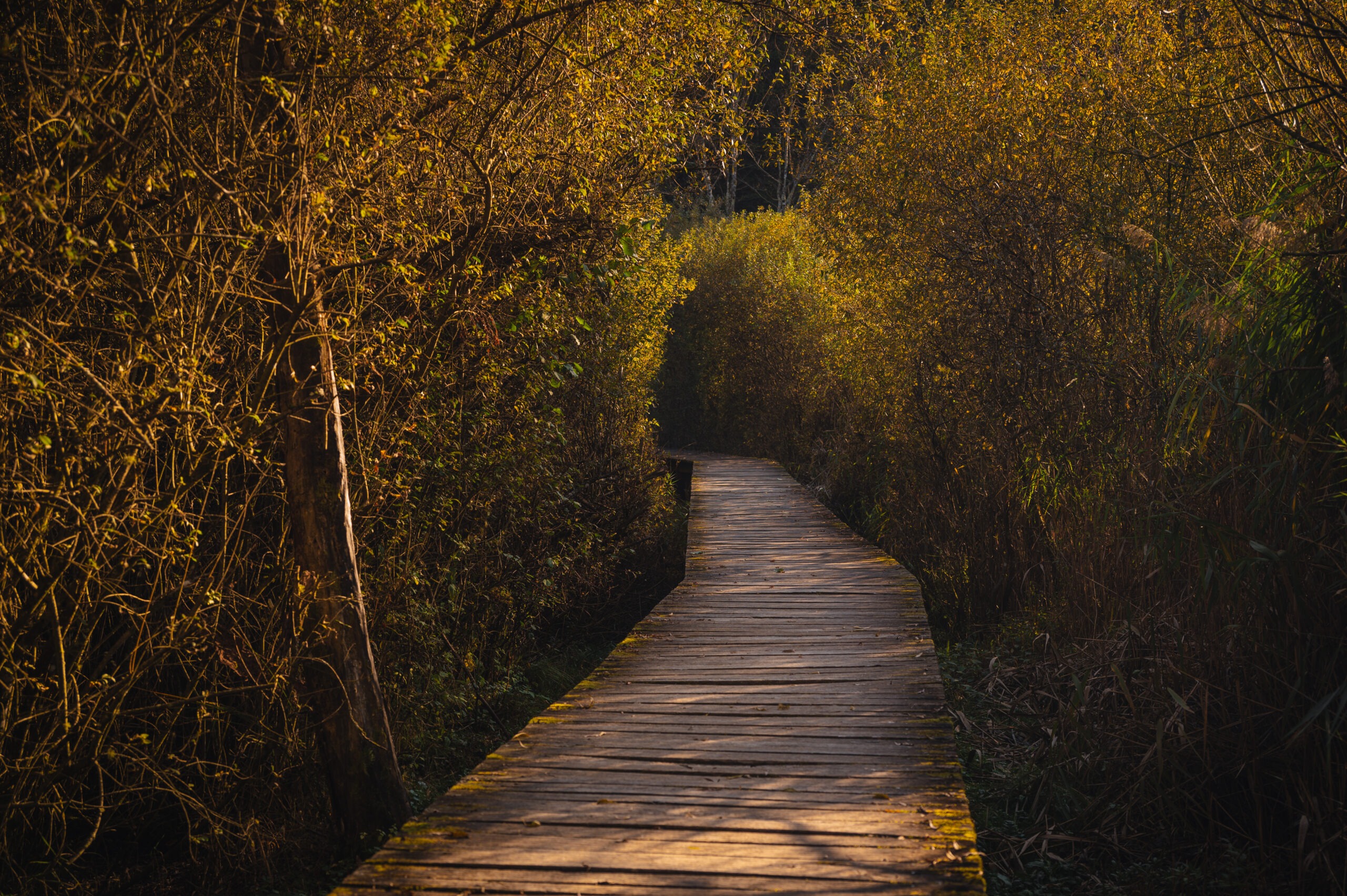 Trakoscan - poucna staza