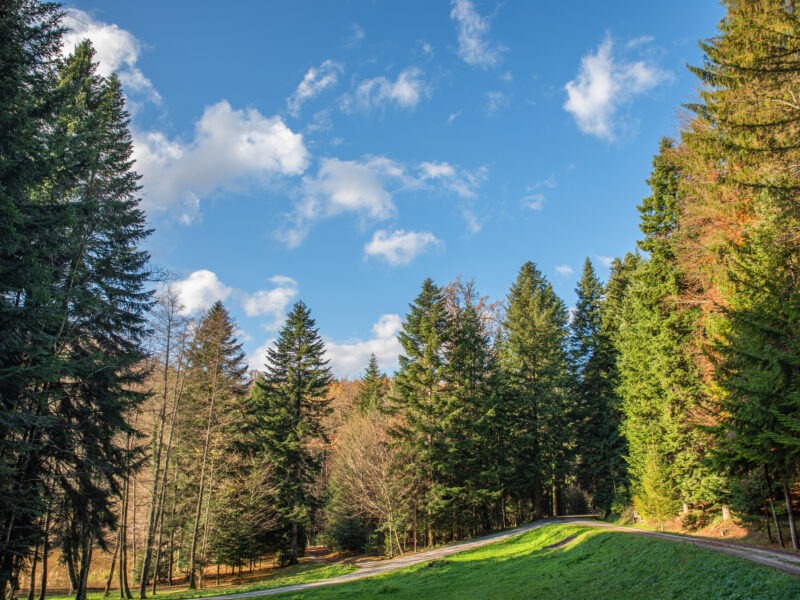 Utrka za mač Grofa Draškovića – 06.07.2025.