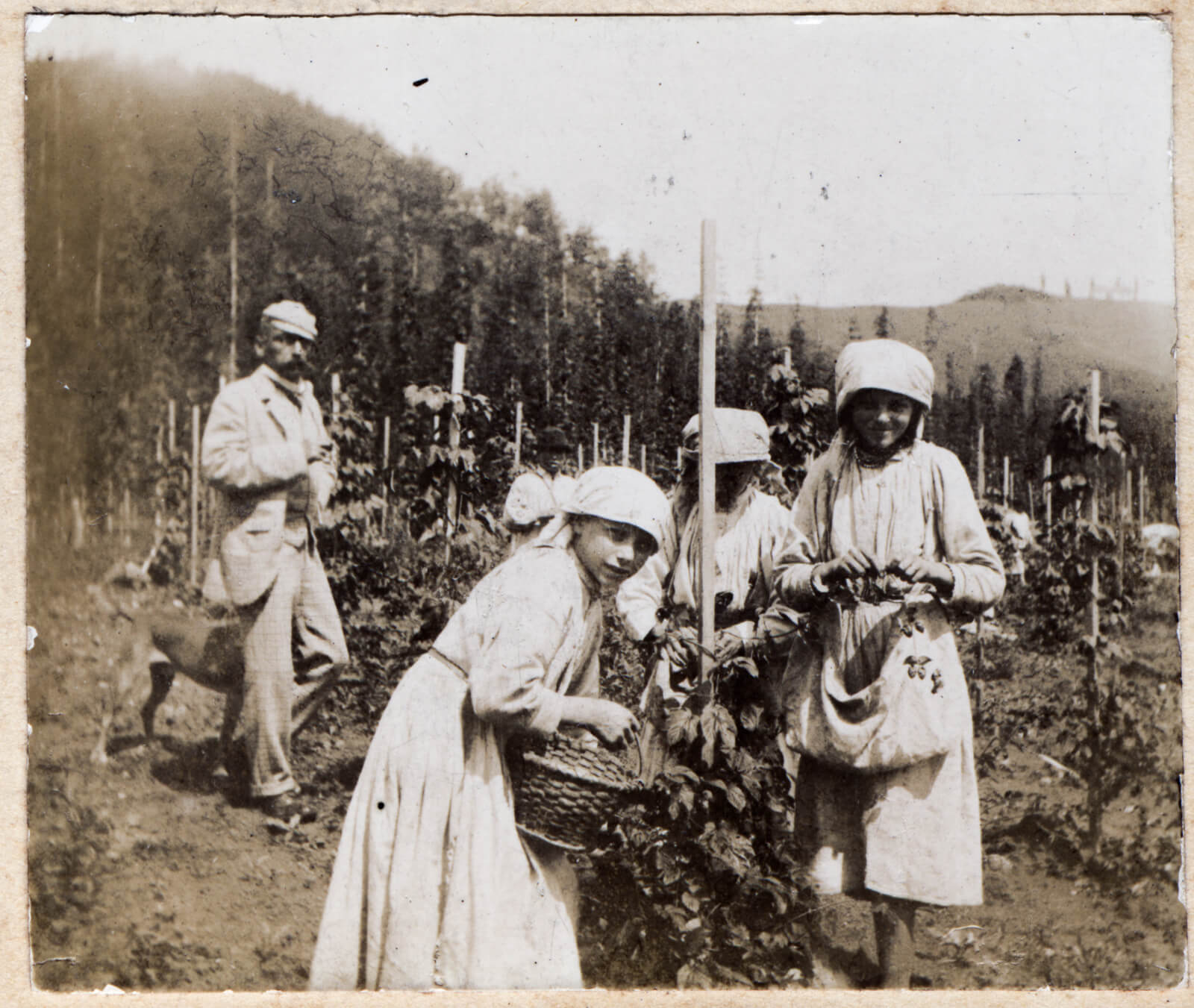 55. U Berbi, DT 3693 22